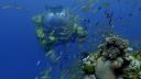 David Attenborough's Great Barrier Reef